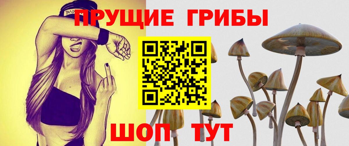 Псилоцибиновые грибы прущие грибы Нарткала